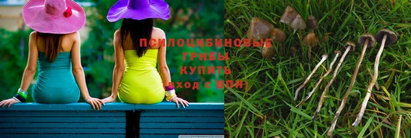 ECSTASY Володарск