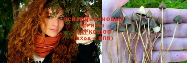 ECSTASY Володарск